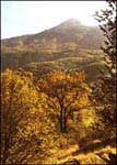 Panorama dei Corni con i castagneti